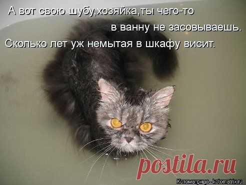 Вот именно!