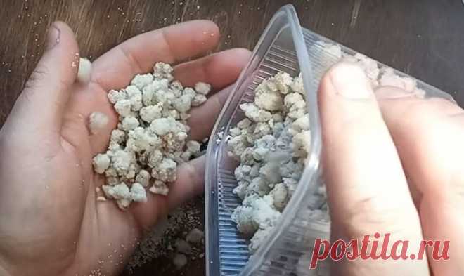 Тонущие гранулы из перловки. Хорошо пылят частичками и лучше обычных заметны на дне | ПОДСЛУШАНО... Сегодня мы с вами сделаем необычные уловистые гранулы из перловки, которые многие рыболовы еще никогда не применяли. Они будут хорошо заметны дне и отлично привлекут рыбу своими всплывающими...
