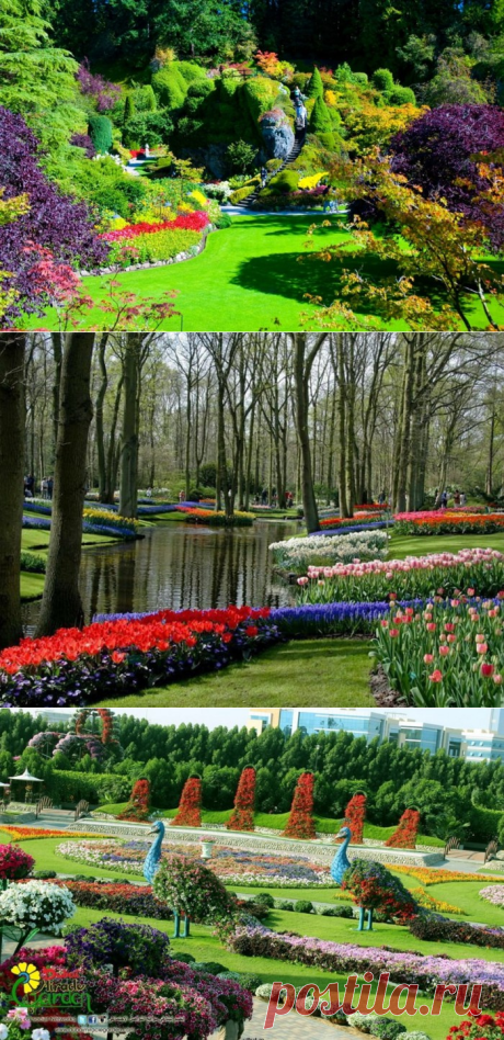 Сады мира. Галерея фото и видео