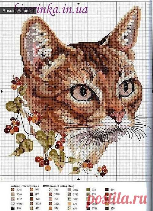 Коты и кошки. ЧАСТЬ 5 / Схемы вышивки крестиком / PassionForum - мастер-классы по рукоделию