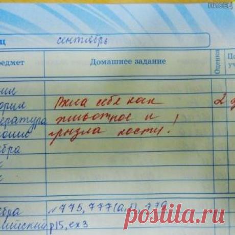 Убойные приколы в школьных дневниках / Писец - приколы интернета