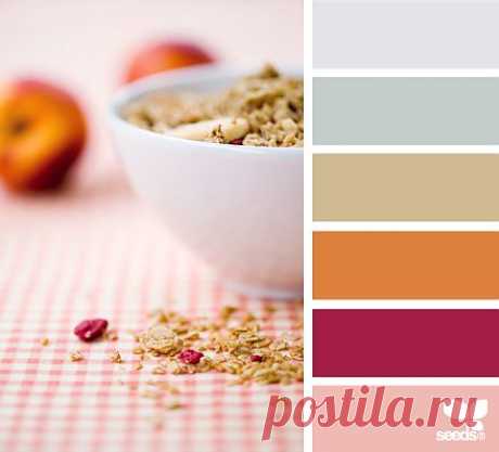 Design Seeds® | find your palette