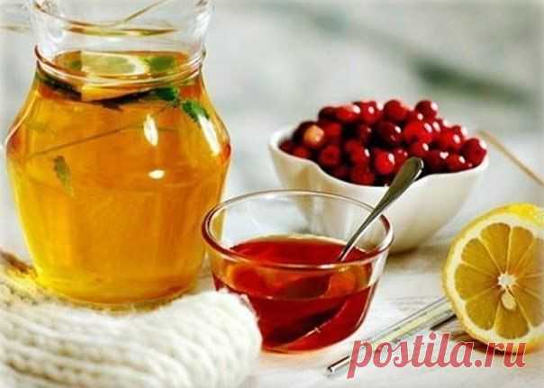 17 эффективных способов избавления от разных видов кашля | Я ЗДОРОВ!