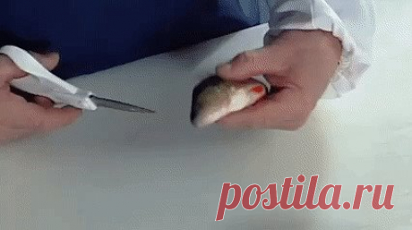 (51) Одноклассники