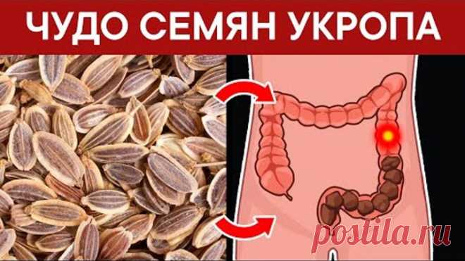 С помощью СЕМЯН УКРОПА избавилась от 20 недугов. Не ожидала такого!
