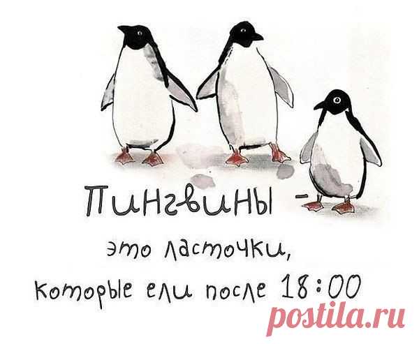 Весёлые картинки, этакие с надписями для хорошего настроения