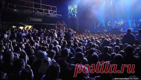 Вести.Ru: На концерте Шевчука под песню памяти жертв А321 зал встал на колени. Видео