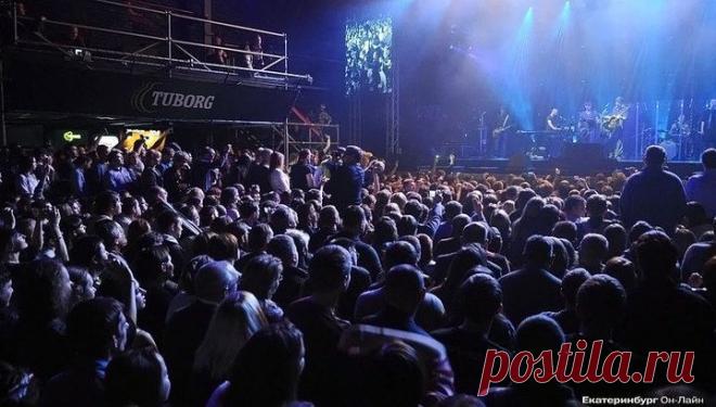 Вести.Ru: На концерте Шевчука под песню памяти жертв А321 зал встал на колени. Видео