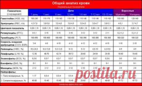 Вот как расшифровать анализ крови самостоятельно, без врача

Сохраните себе эту статью — вдруг пригодится!

Если у вас нет медицинского образования, вам будет трудновато разобраться в расшифровке анализа крови. Она составляется не для пациента, а для врача — это его задача понимать, что там написано.
Однако никогда не помешает иметь общее представление о том, что означают разные сокращения и циферки. По крайней мере те, которые врач зачем-то подчеркнул или обвёл кружком.
K...