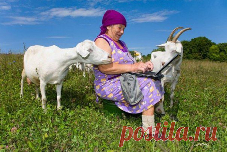Татьяна Шевчук Если вы ждете знака от судьбы, то это ОН!!! Вам сейчас прямо в руки плывет ОЧЕНЬ ценная информация!

https://vzaimopiar7.ru/wppage/909_2/?utm_source=shevchuk6

Здесь 3 страницы отличной информации, на самые различные тематики и их пока еще можно забрать абсолютно безвозмездно!!!

Секреты миллионеров, новые схемы, вебинары на тему отношений в семье, видео-уроки, рекомендации по укреплению здоровья. Да это просто кладезь полезной информации.