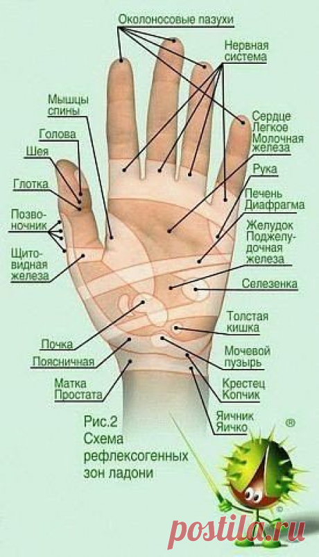 Любопытная методика (с)