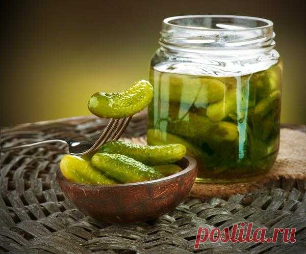 Секреты заготовки соленых и маринованных огурцов