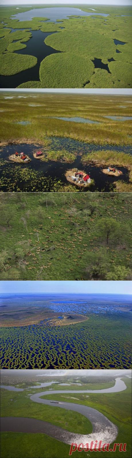 Болото Судд - оазис площадью в 120 000 км² - Путешествуем вместе
