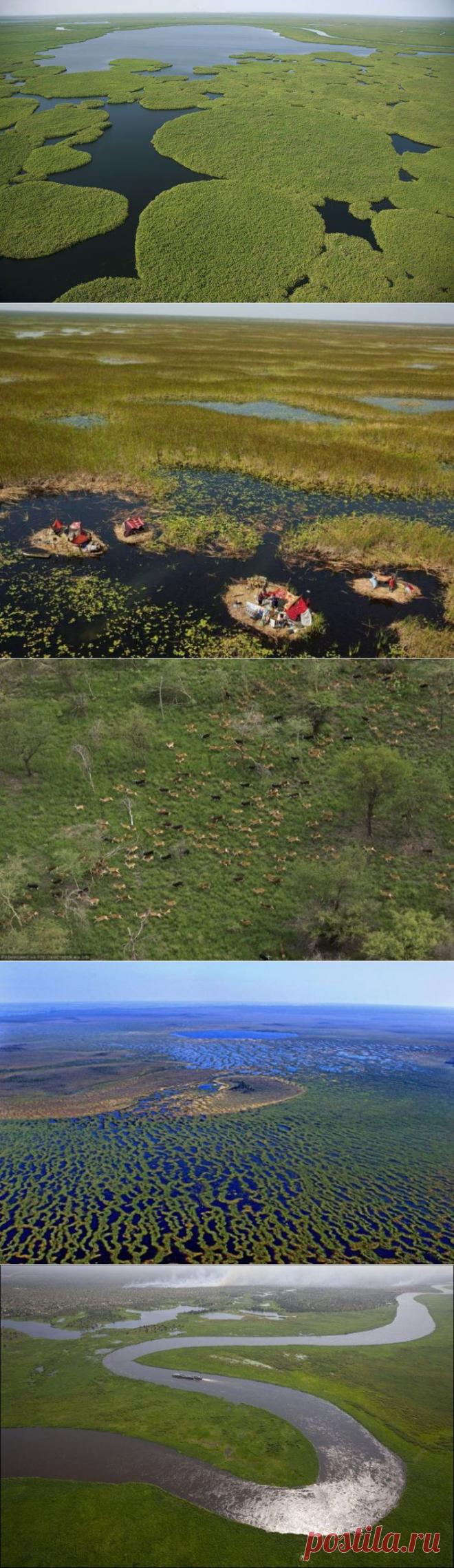 Болото Судд - оазис площадью в 120 000 км² - Путешествуем вместе