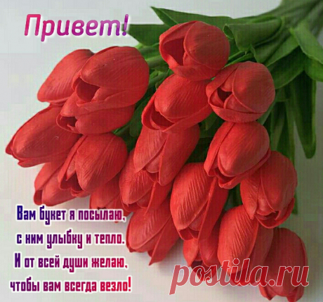 Привет