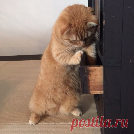 Мой Мир@Mail.Ru
