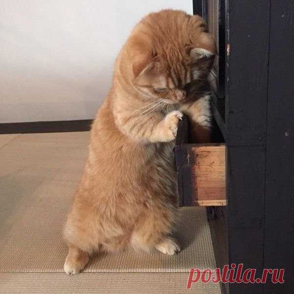 Мой Мир@Mail.Ru