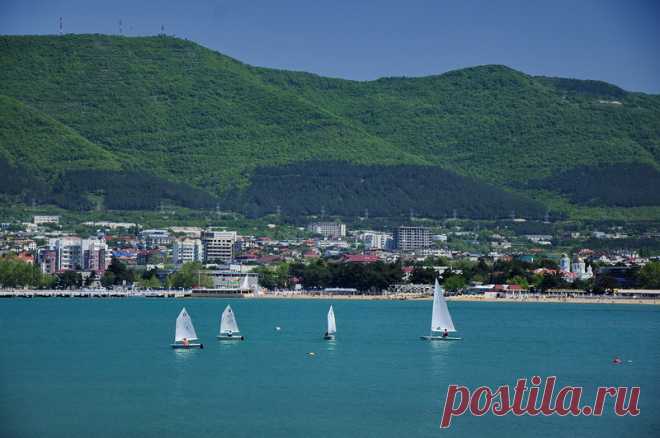 Парусная регата