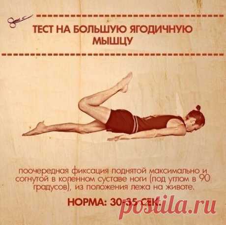 ТЕСТЫ НА ФУНКЦИОНАЛЬНУЮ СЛАБОСТЬ МЫШЦ.
Секреты женского здоровья!