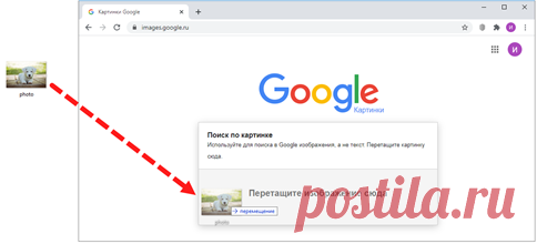 Поиск по картинке Google и Яндекс: как искать фото