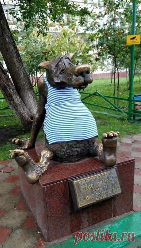 Будьте бдительны, защитники родины вышли отдыхать!