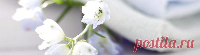 Домашний отбеливатель .Невероятный эффект! | Новость | Всеукраинская ассоциация пенсионеров