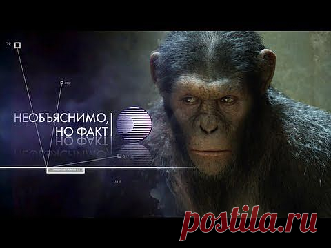 Необъяснимо, но Факт: Мутанты.