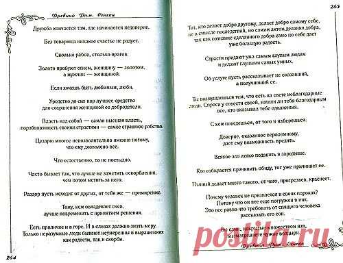 Сергей Анатольевич — «Изображение 128. Сенека..jpg» на Яндекс.Фотках