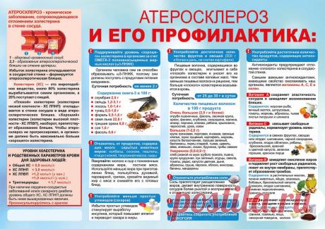 Атеросклероз и его профилактика