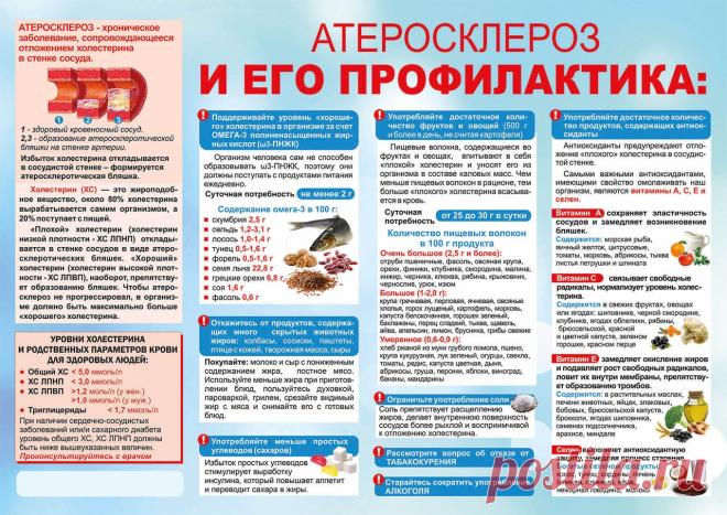 Атеросклероз и его профилактика