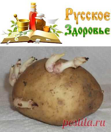 Проросшая картошка от воспаления суставов