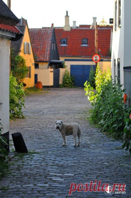 Симпатичная деревня с желтыми домиками - Драгёр - Путешествуем вместе