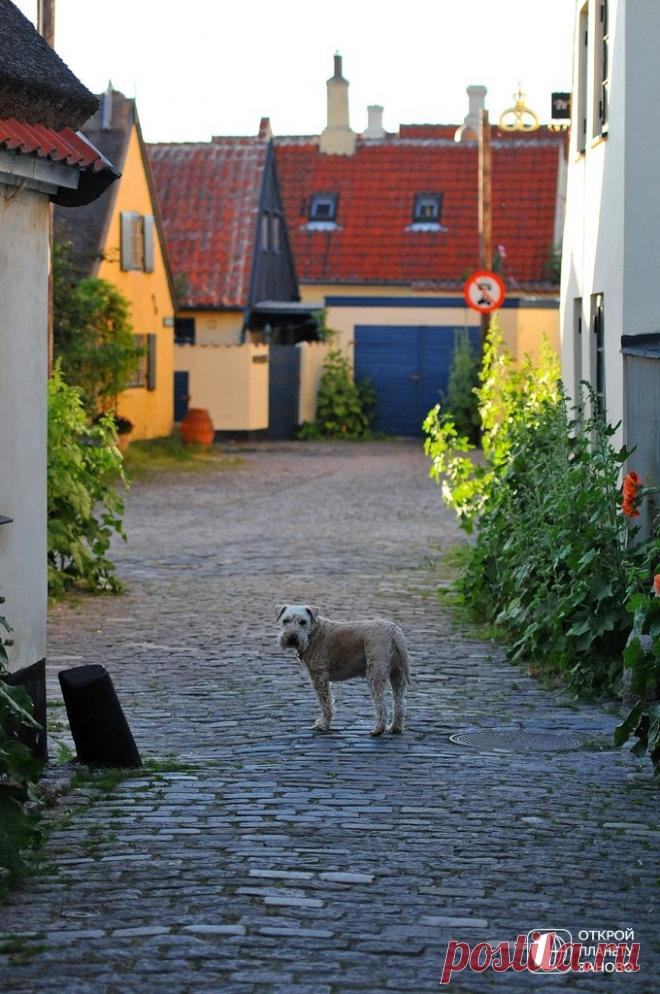 Симпатичная деревня с желтыми домиками - Драгёр - Путешествуем вместе
