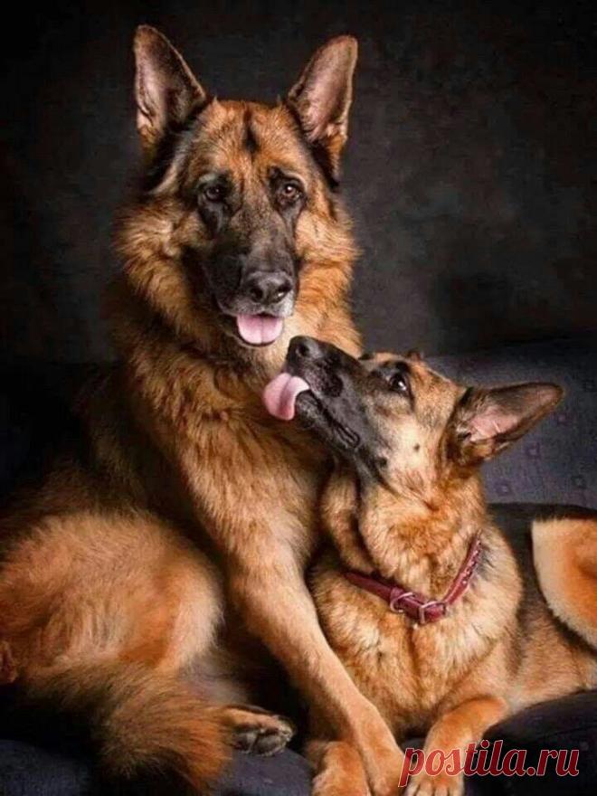 Pour Le Plaisir Des Yeux