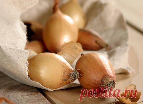 Что сажать осенью? 10 ОВОЩЕЙ