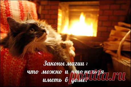 Законы магии — что можно и что нельзя иметь в доме.
