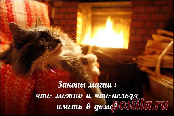 Законы магии — что можно и что нельзя иметь в доме.