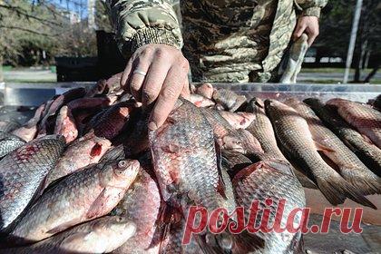 В Симферополе пройдут ярмарки. В Симферополе 15 и 16 июля пройдут ярмарки. Как уточнили в пресс-службе городской администрации, ярмарки будут ждать посетителей на улице Аэрофлотской, 16, на Энергетиков, 2 в поселке Грэсовский, на Героев Сталинграда, 8, а также на улице Залесской, 97. Отмечается, что цены будут ниже рыночных на 15-20%.