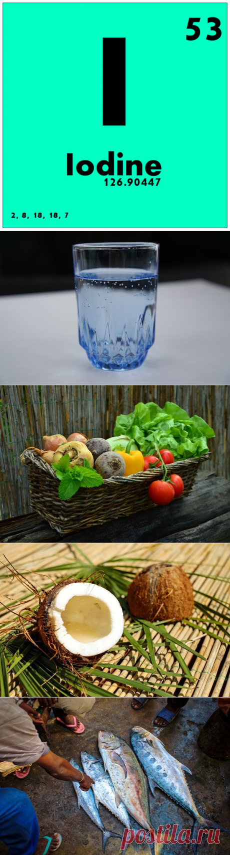 8 продуктов и нутриентов, которые полезны при гипотиреозе | Доброго здоровья! | Яндекс Дзен