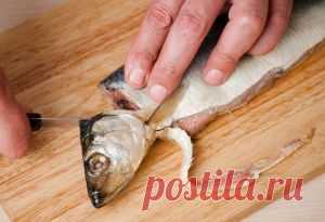 Полезные советы