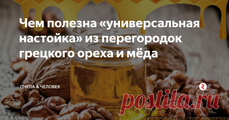 Чем полезна «универсальная настойка» из перегородок грецкого ореха и мёда Многие знают о пользе грецких орехов в сочетании с мёдом, но вот в чем польза перегородок грецкого ореха в сочетании мёдом, знают немногие.