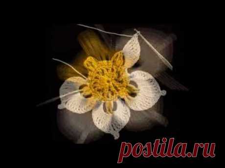 Get the best free crochet course for beginners &quot;Flower-Talisman&quot; - YouTube