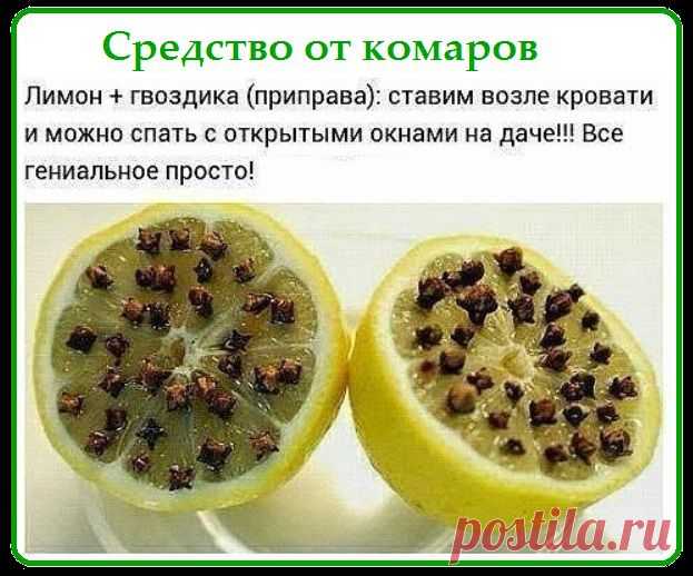 Средство от Комаров.