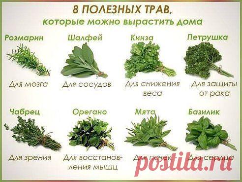 (1) Одноклассники