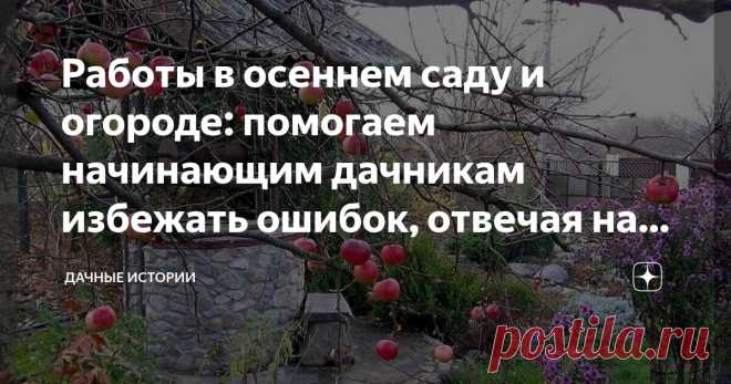 Работы в осеннем саду и огороде: помогаем начинающим дачникам избежать ошибок, отвечая на полсотни интересных вопросов Статья автора «Дачные истории» в Дзене ✍: Добрый день, дорогие друзья, садоводы и огородники! Приветствую вас в нашем сообществе 
