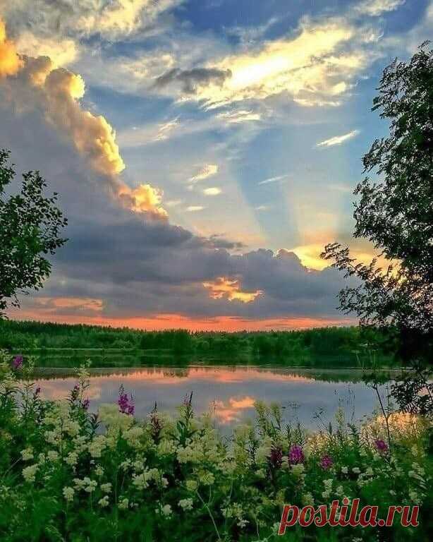 ༺🌸༻Мне только надо знать, что всё не зря,
Что всё не зря, не тщетно, не напрасно.
Не зря вот эта новая заря,
Вот этот луч, который светит ясно,
Не зря я родилась на белый свет,
Ну а конкретней, что не зря проснулась...
Не зря, на тропах оставляя след,
Прошла сквозь день и в вечность окунулась.
Лариса Миллер, 2017