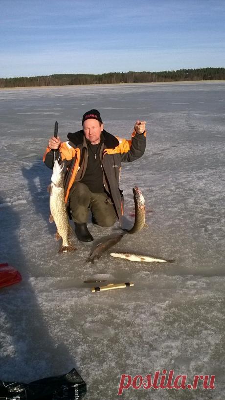 на жерлицу и блесну