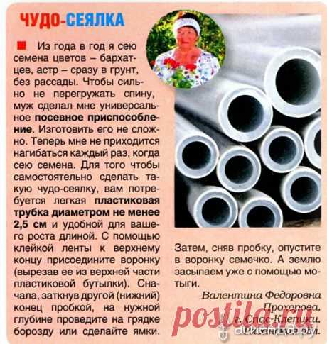 Журнал &quot;ДЕЛАЕМ САМИ&quot; 10: Группа Обустройство и украшение дачного участка