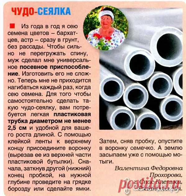 Журнал "ДЕЛАЕМ САМИ" 10: Группа Обустройство и украшение дачного участка