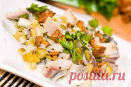 Повседневные салаты с сельдью без майонеза: 5 рецептов / Простые рецепты